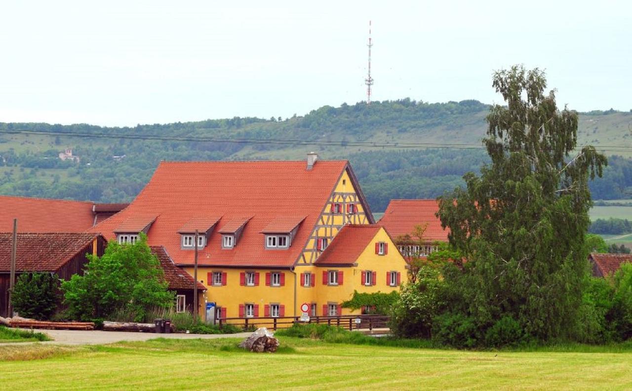 شقة Erlebnis-Kaese-Wohlfuehl-Hof Rockingen المظهر الخارجي الصورة